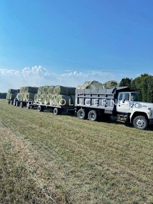 Сіно люцерни в круглих тюках. Укос 2025