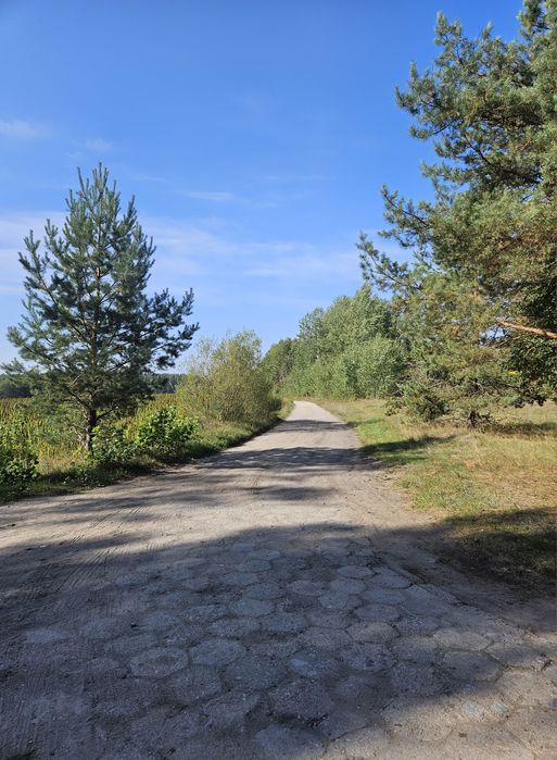 Sprzedam działkę( złożony wniosek o warunki zabudowy)