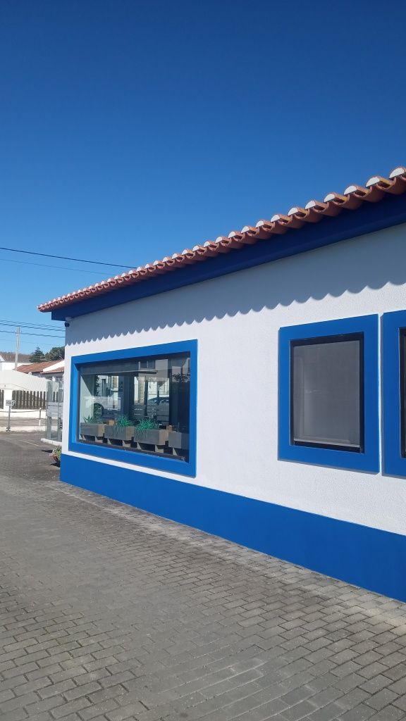 Pintor Profissional