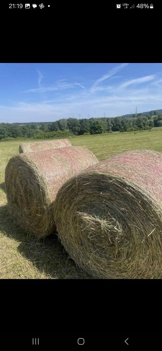 Sprzedam siano baloty 120/120 bale