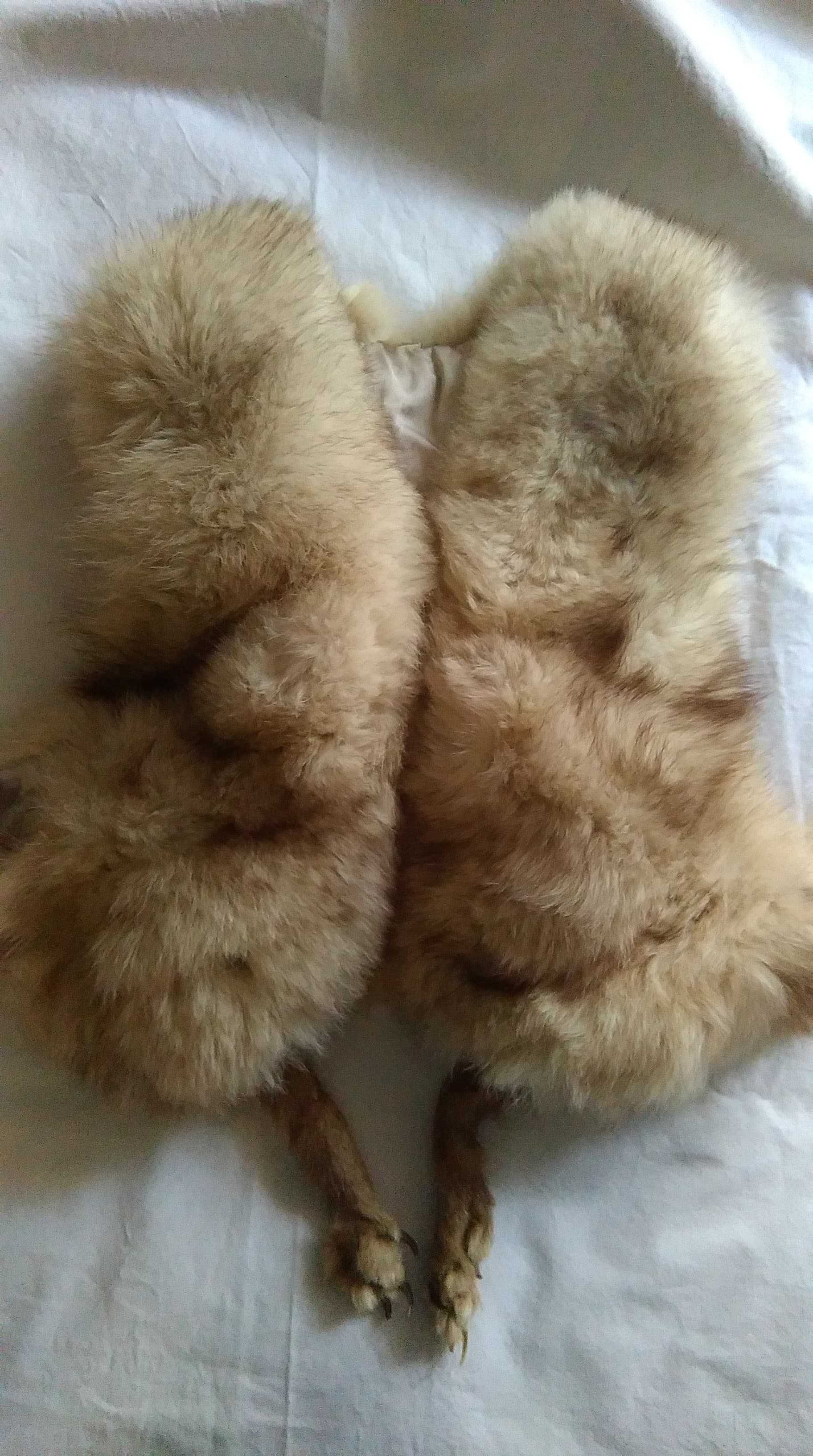 kamizelka  damska nakrycie odzież damska