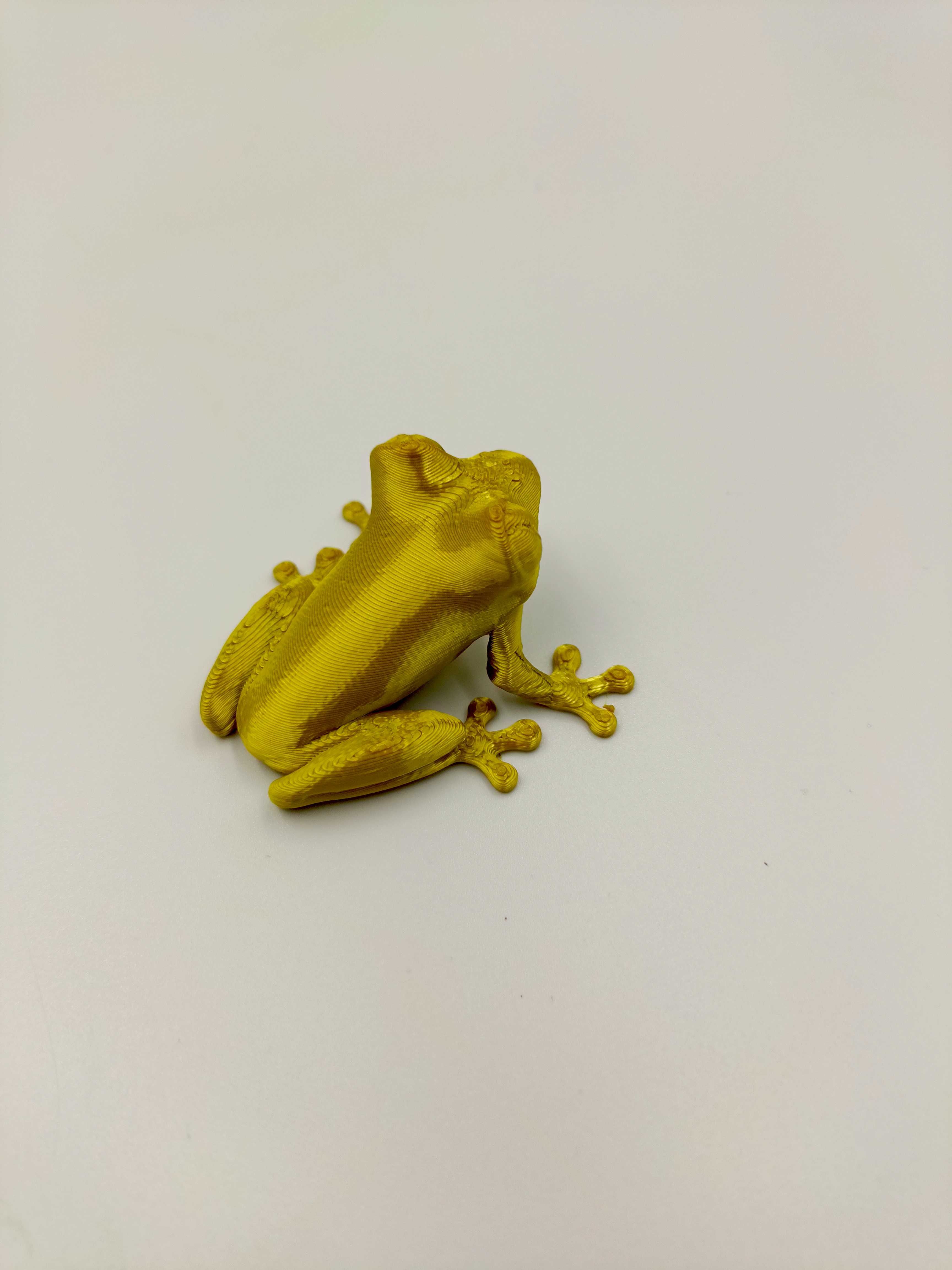 Druk 3D żaba mała żabka