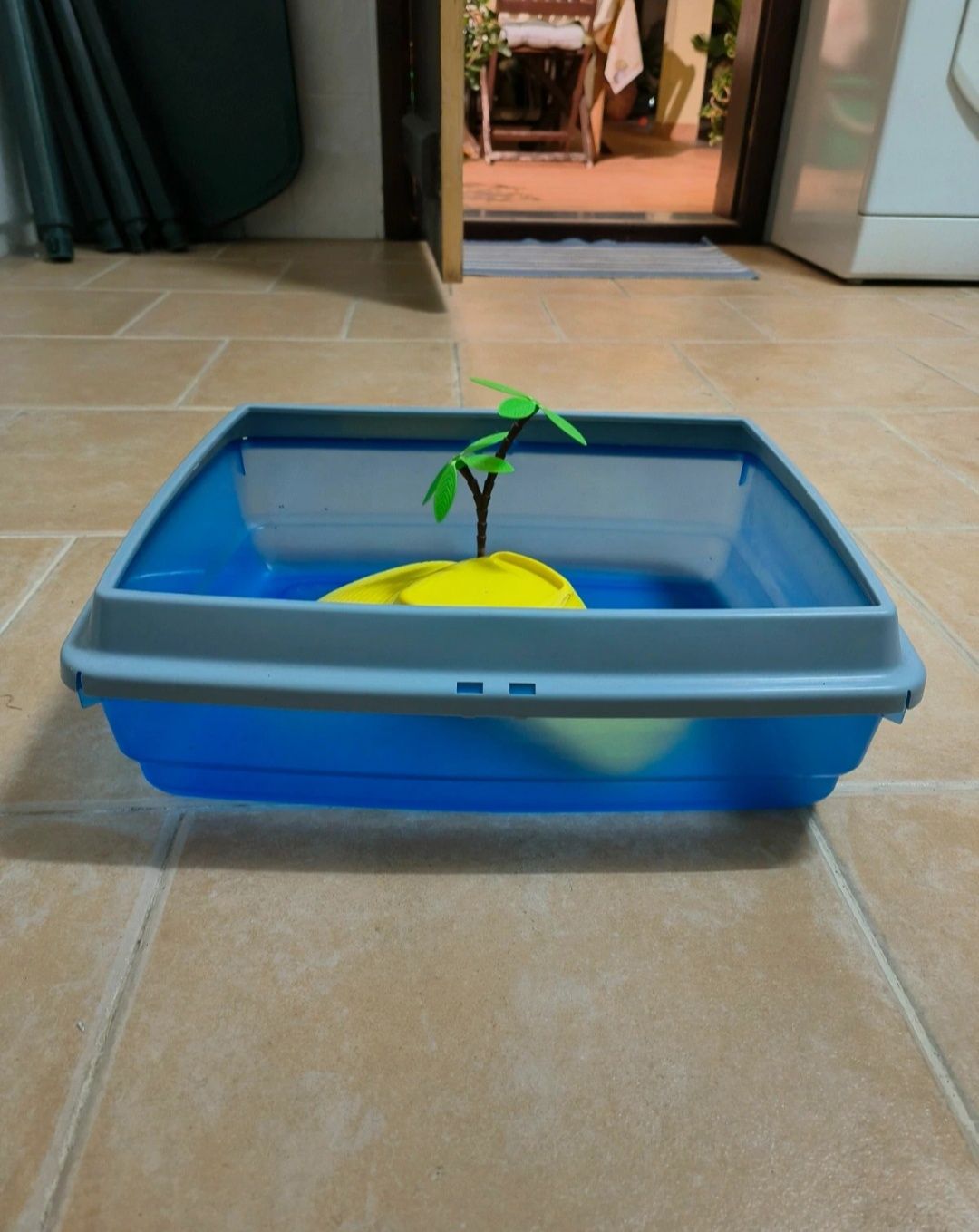Aquário para tartarugas