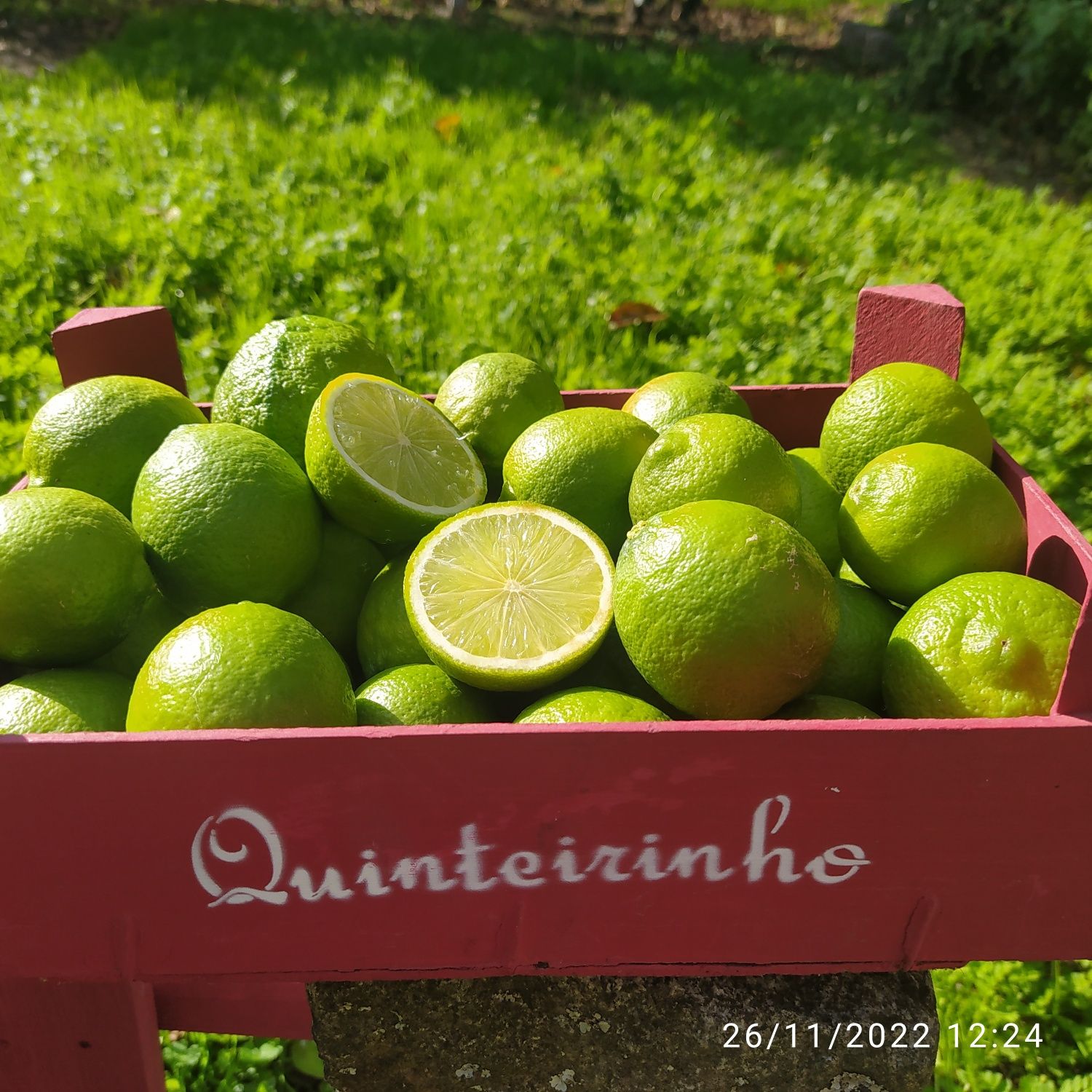 Limas biológicas