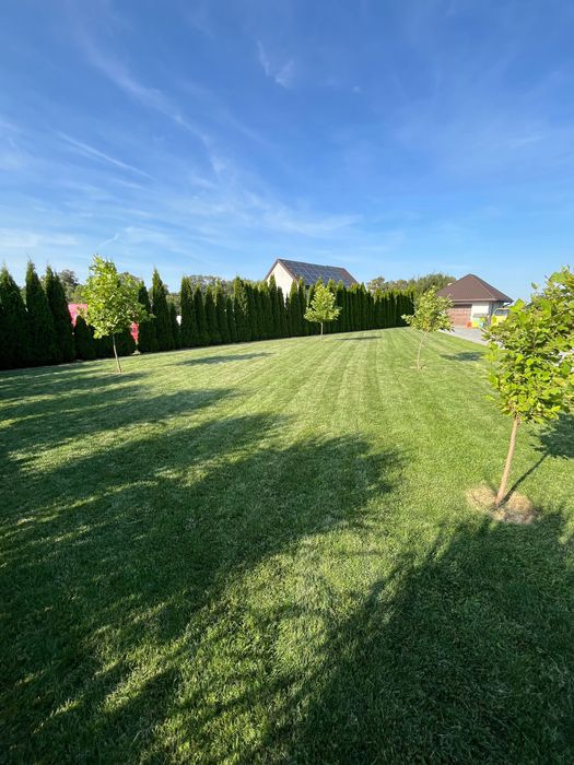 Sprzątanie Biur, Mieszkań, Lokali, Terenów zewnętrznych–Łódź i okolice