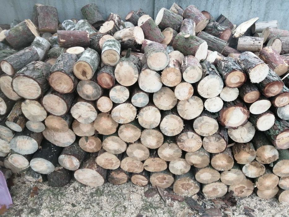 sprzedam sosna sucha