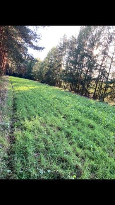 Działka do zabudowy