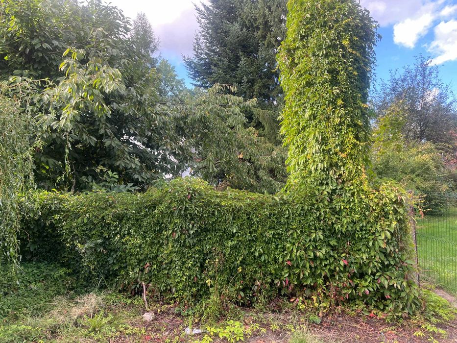 Działka ROD 259 m2