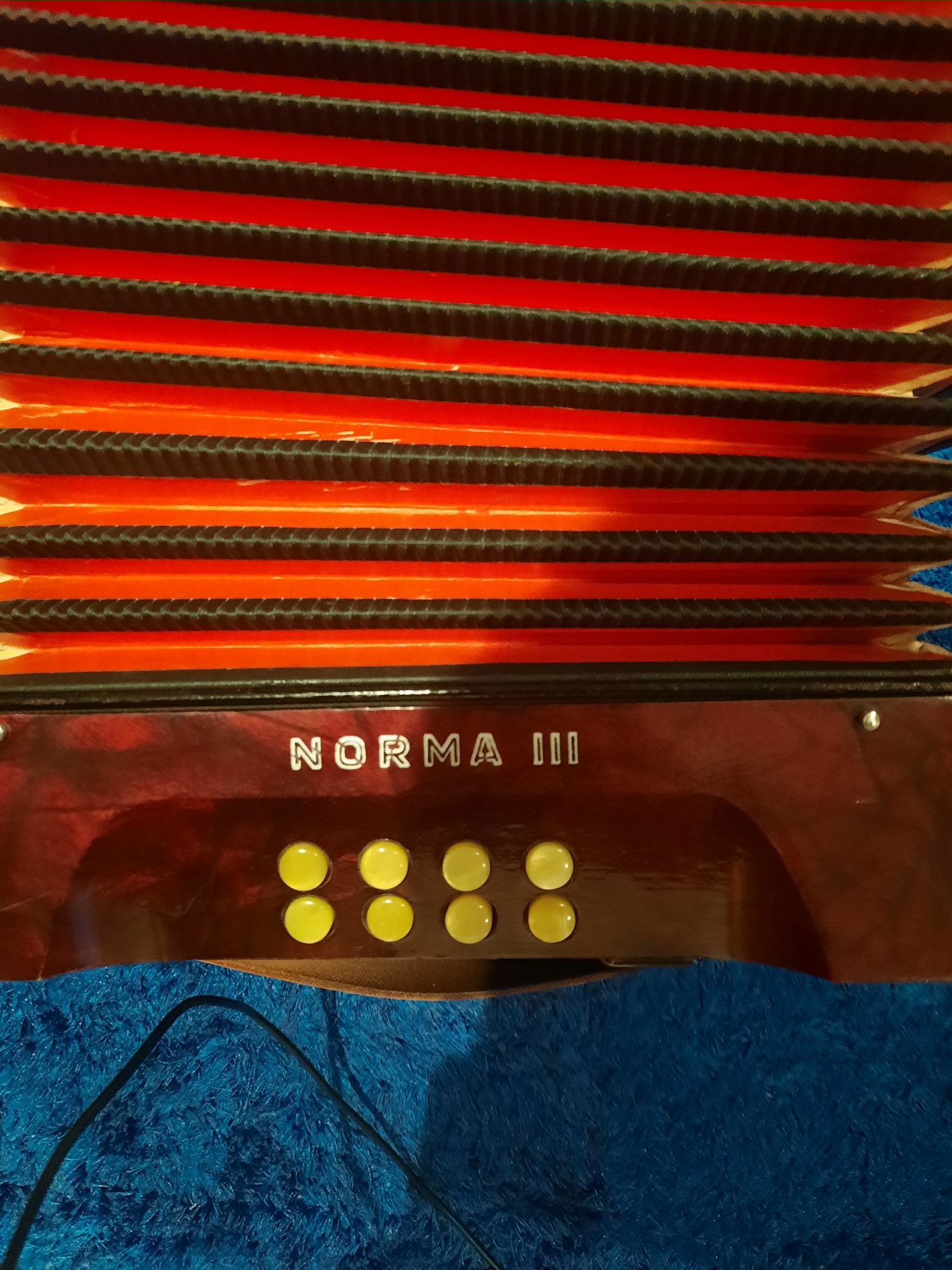 Concertina Hohner