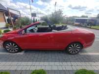 Ford focus cabrio do negocjacji