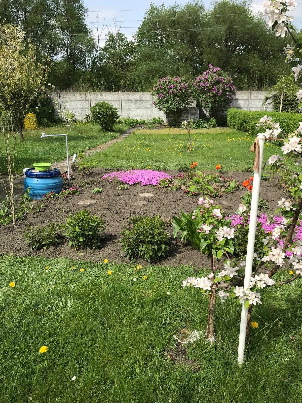 Ogródek działka rekreacyjna ROD Kolejarz Zabrze Centrum Południe