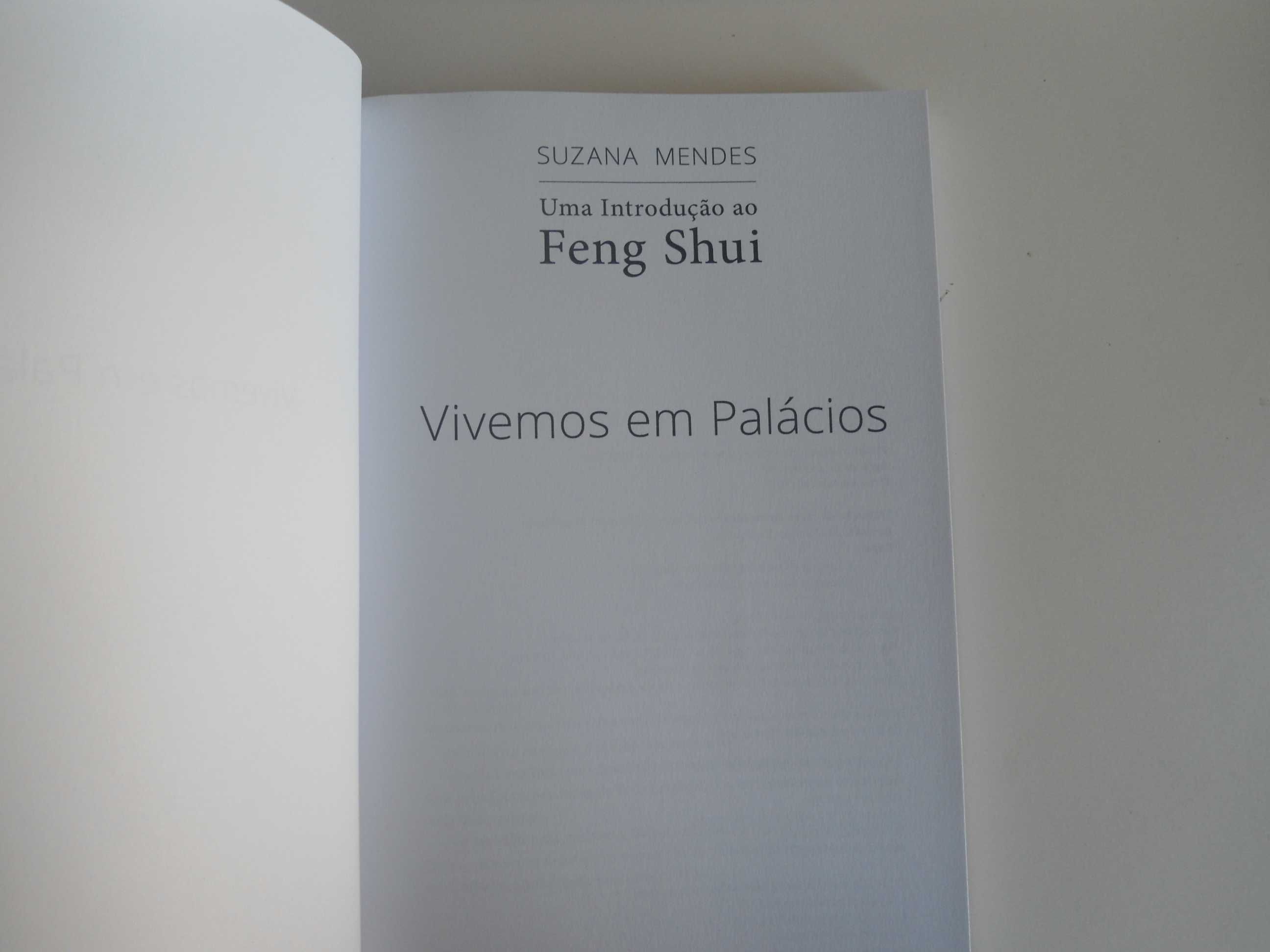 Uma Introdução ao Feng Shui-Vivemos em Palácios-Suzana Mendes