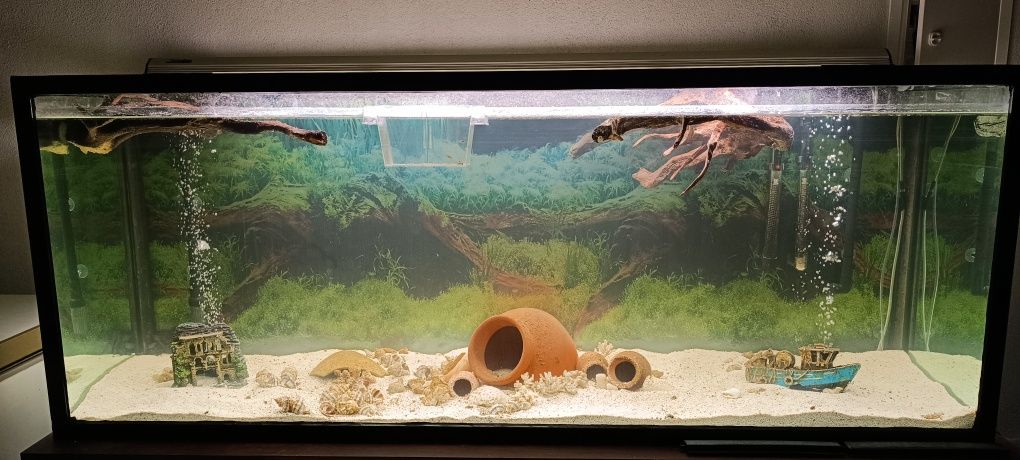Vendo aquário com móvel e bomba filtro.