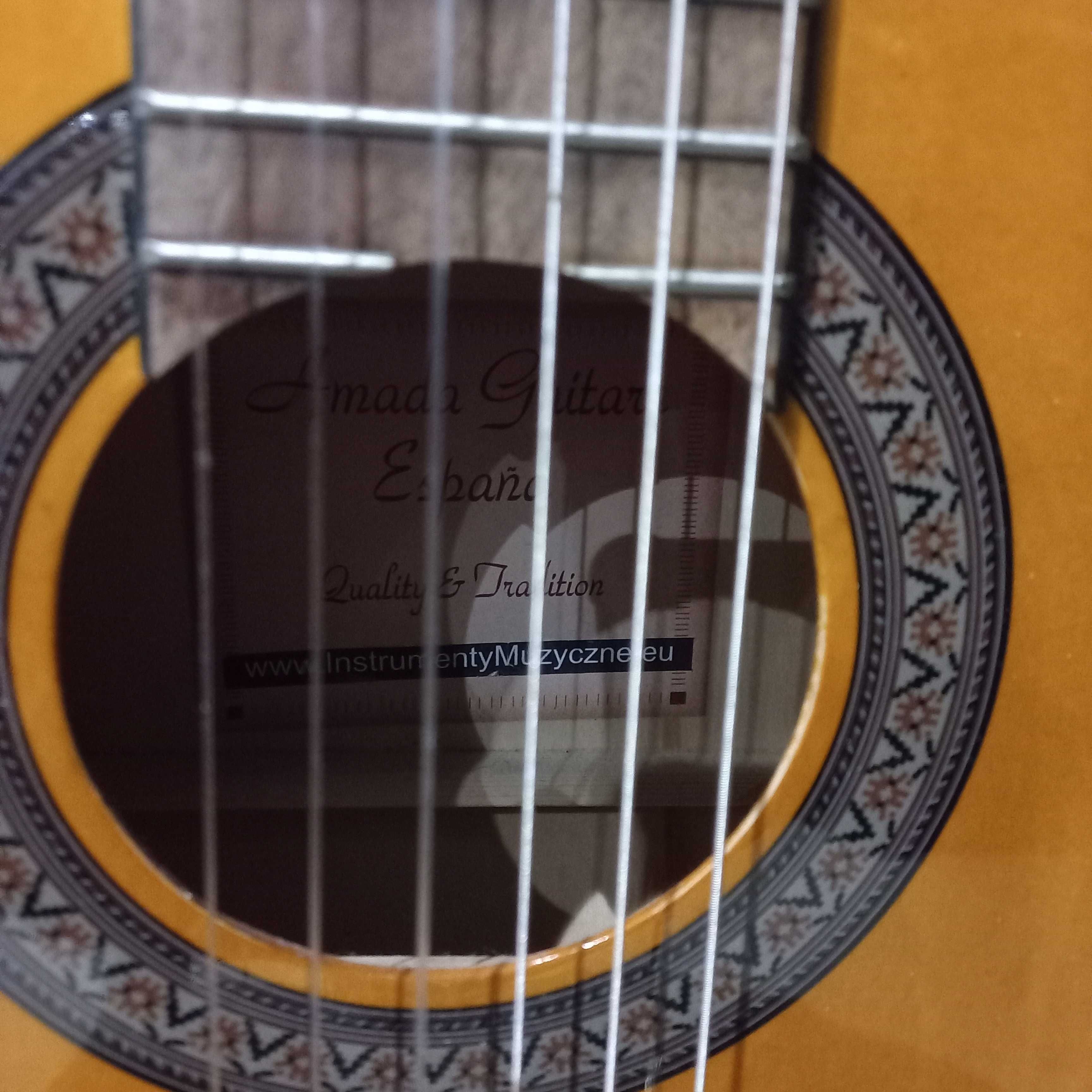 Gitara wraz ze stojakiem i stroikiem