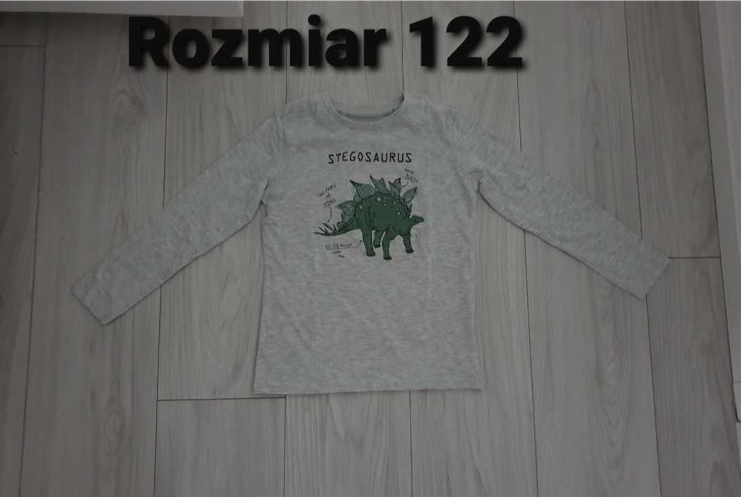 Bluzka 122 z dinozaurem z długim rękawem