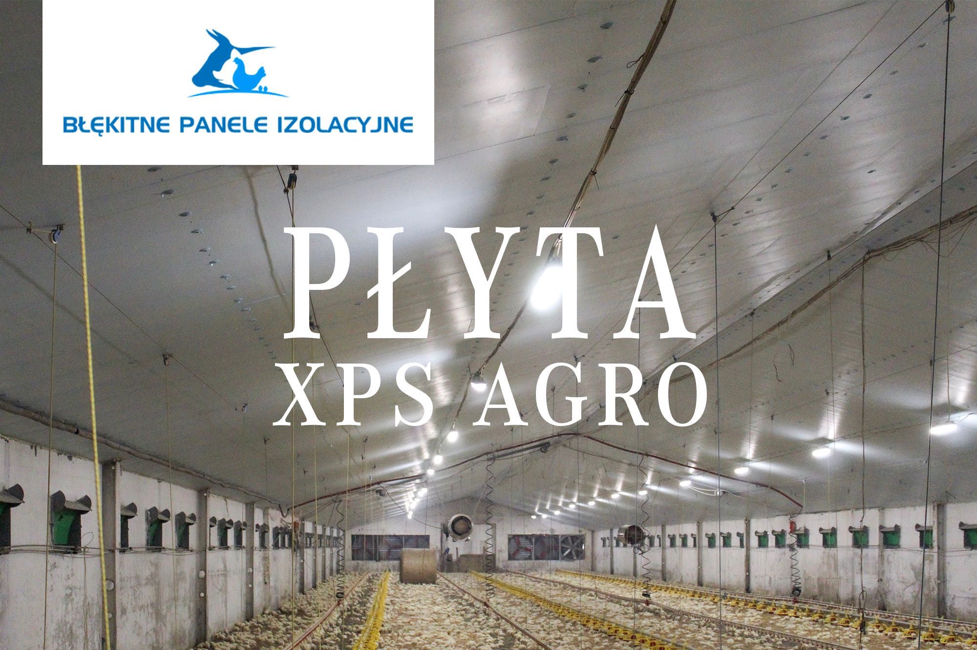 Płyta Ociepleniowa Styrodur XPS AGRO Do Obory Tuczarni Chlewni Kurnika