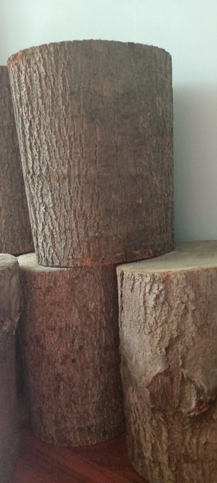 Pieńki drewniane zestaw