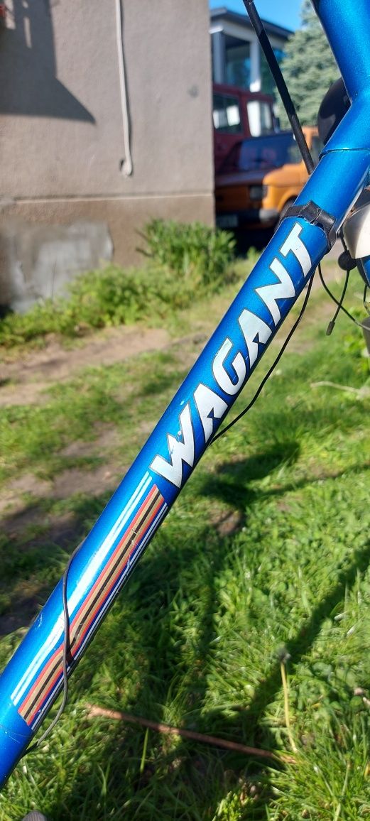 Rower Romet Wagant