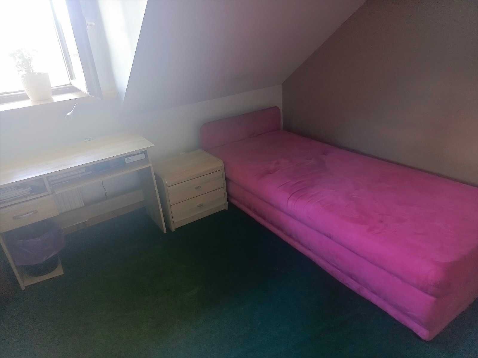 Duuży pokój w domu z ogrodem,parking,światłowód w cenie, to nie hostel