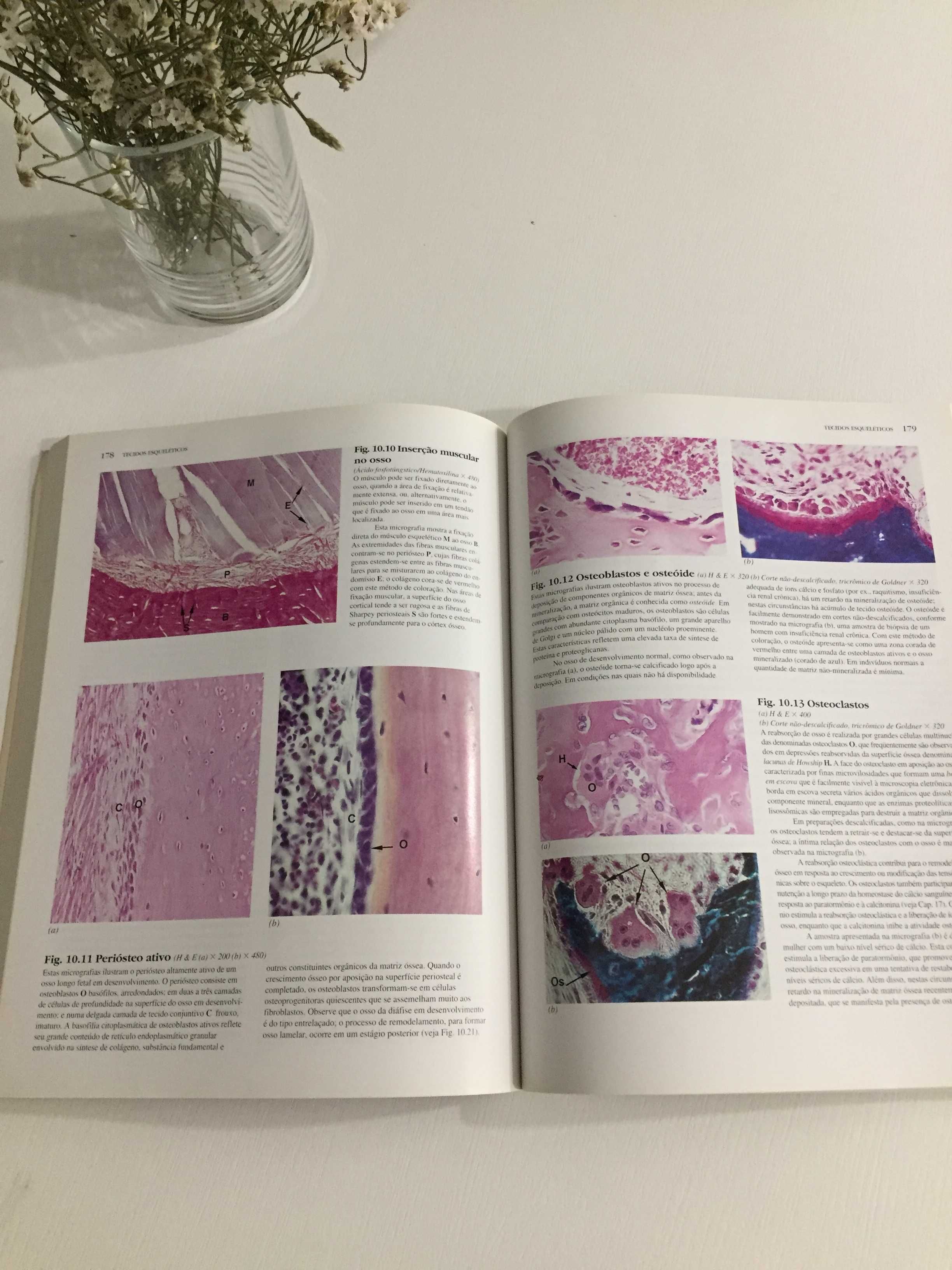 Livro Histologia Funcional