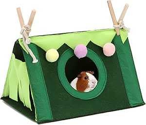 Domek tipi dla chomika gryzonia