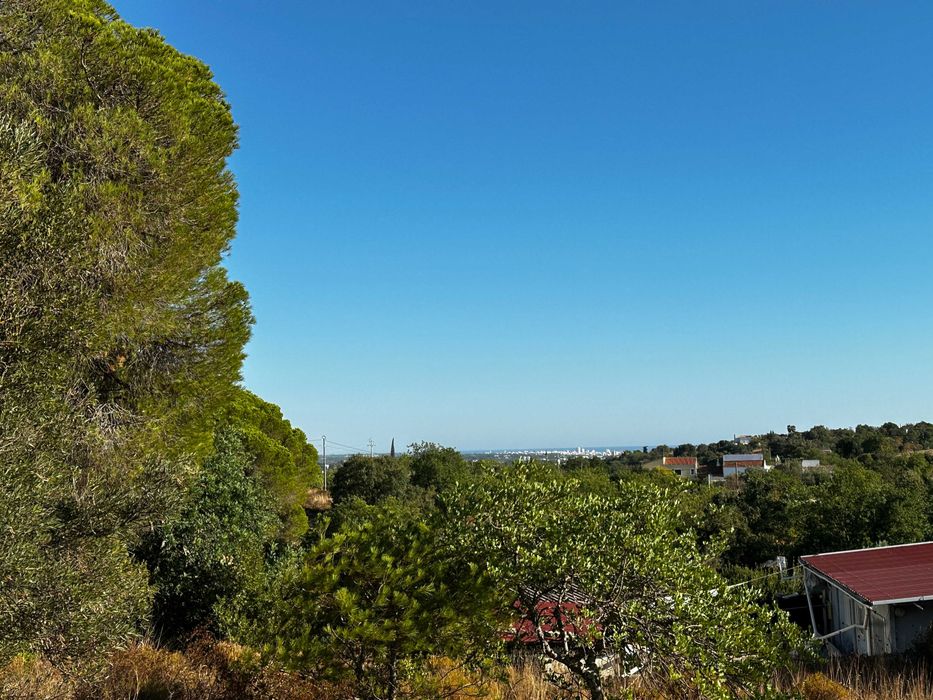 Terreno Rustico em Boliqueime, Ribeiro