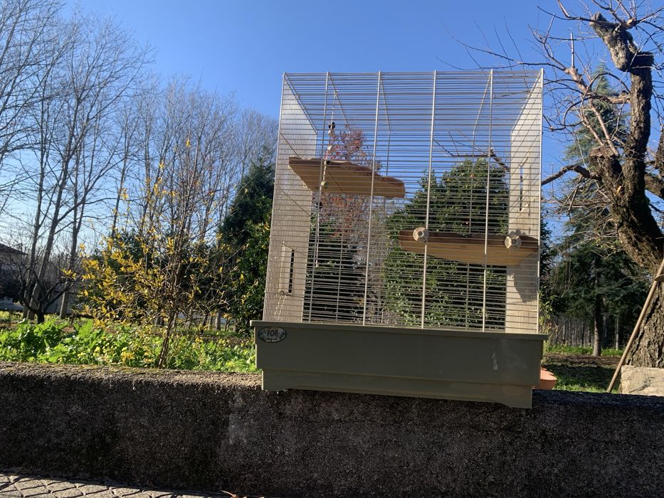 Jaula para chinchila