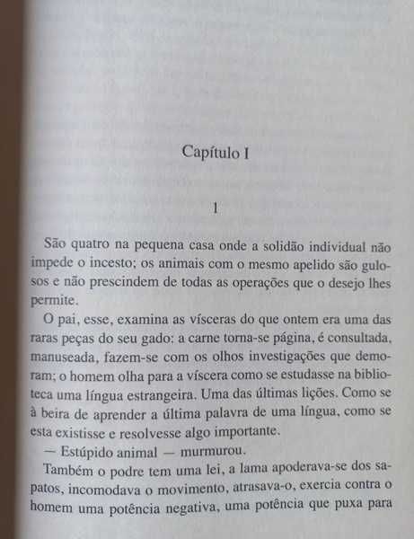 O Osso do Meio - Gonçalo M. Tavares