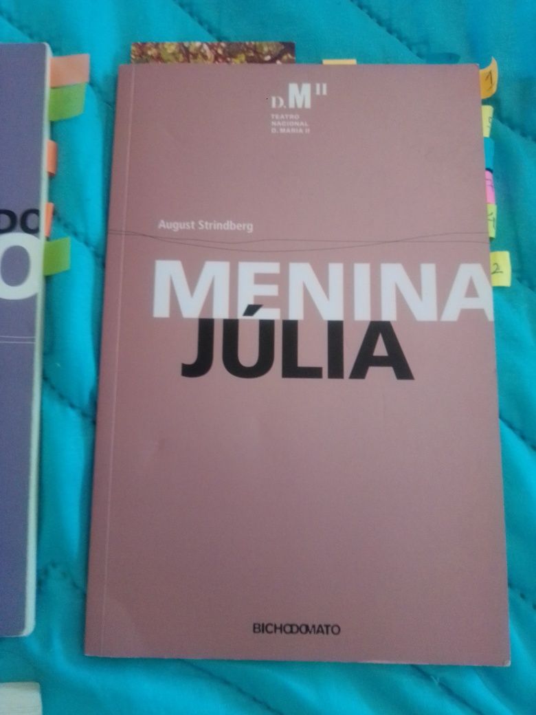Conjunto Livros Menina Rica e Menina Pobre/Menina Júlia/75 Conselhos