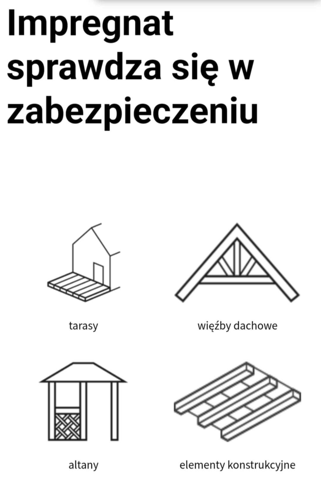 Impregnat do drewna Lignum PROTECTOR TYP A Przeciwogniowy