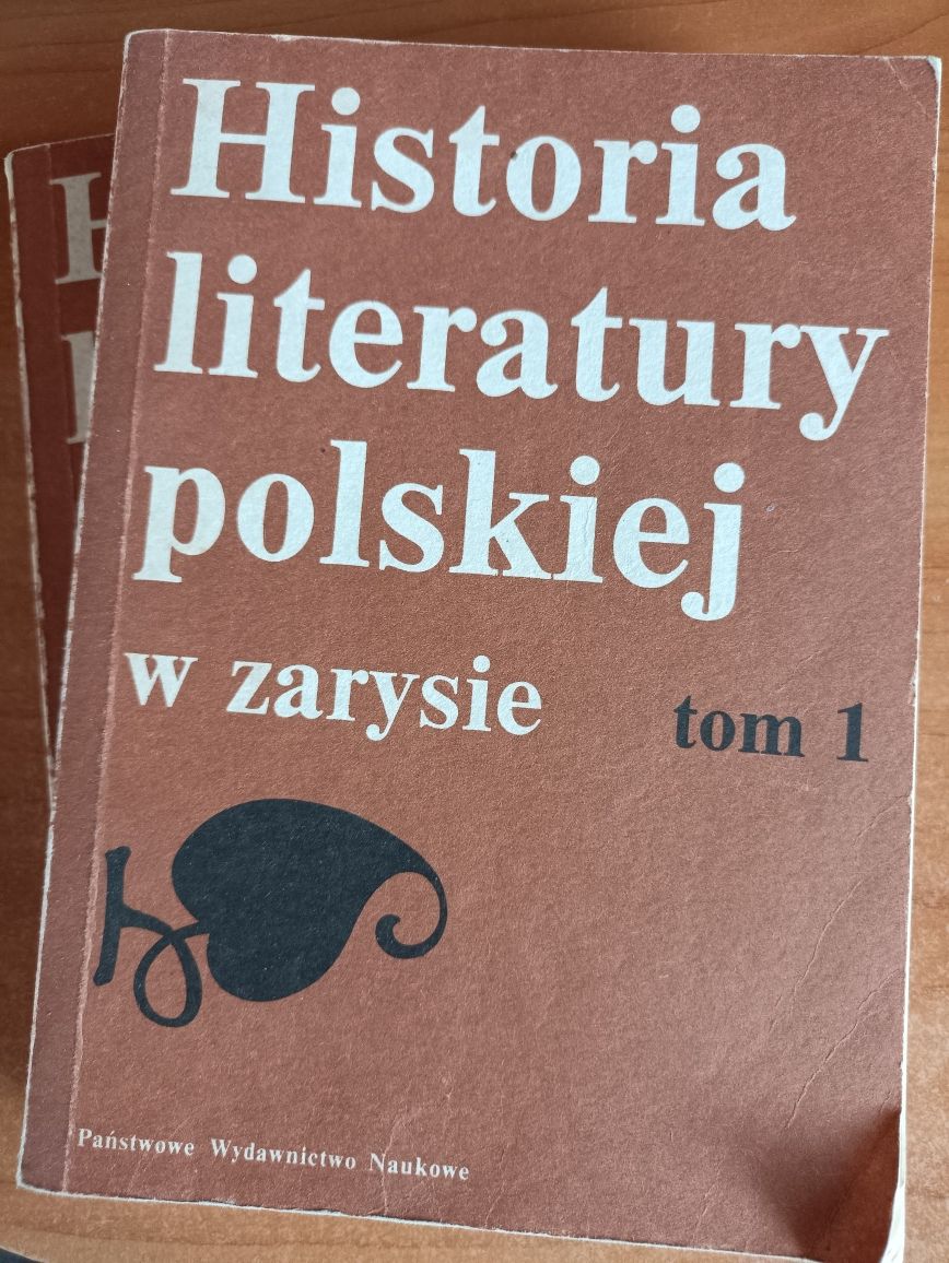 "Historia literatury polskiej w zarysie tomy I i II"