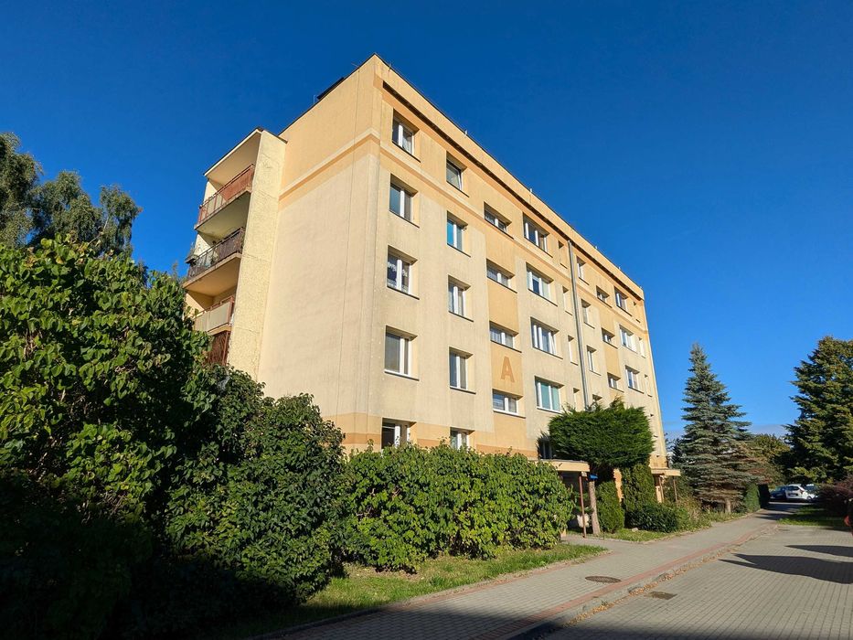 Mieszkanie 3 pokojowe, parter - przetarg w formie ustnej licytacji