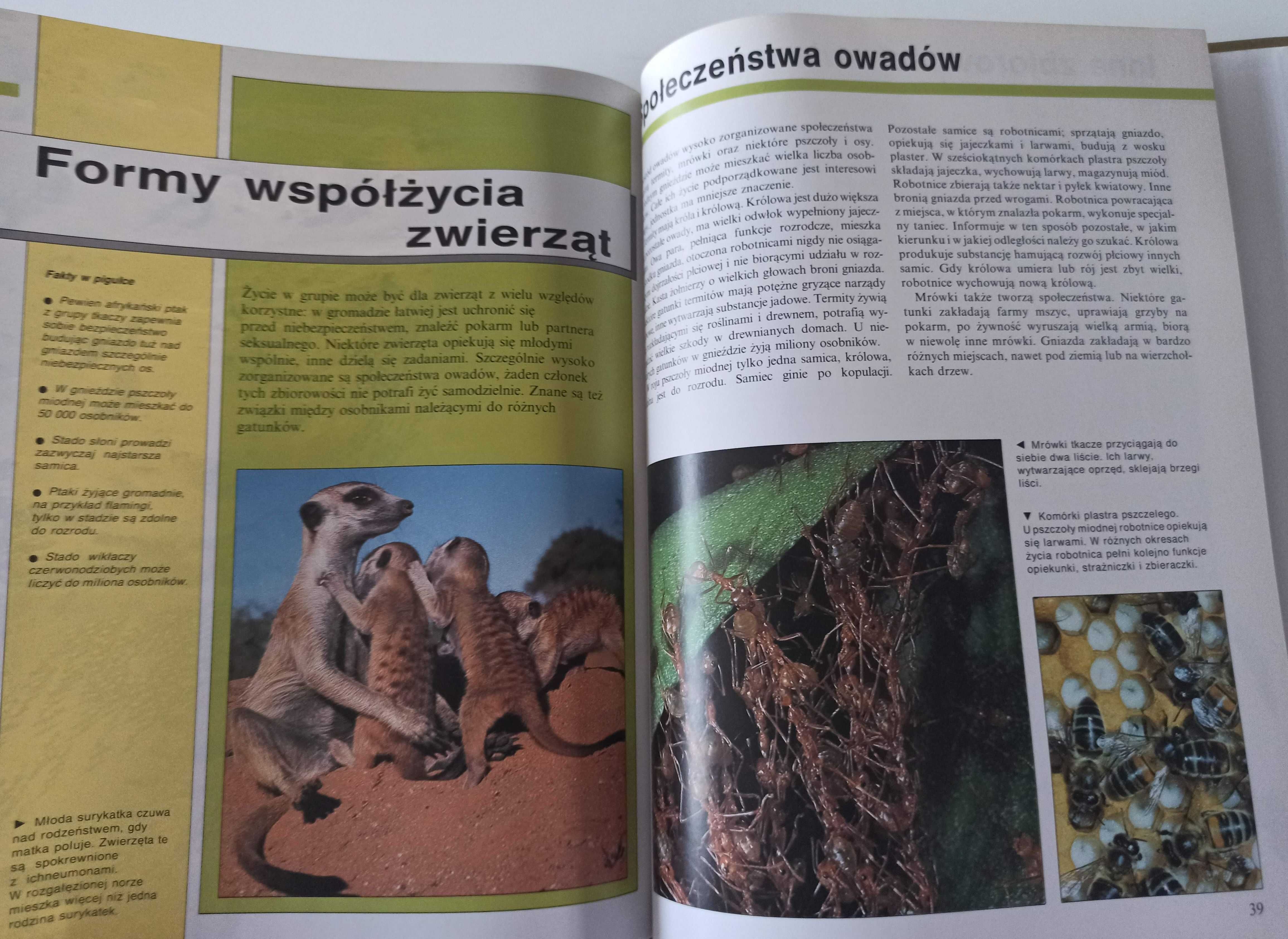 Zachowanie się zwierząt - Encyklopedia wiedzy i życia album dla dzieci