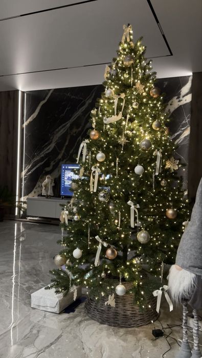 Лита ялинка зелена!