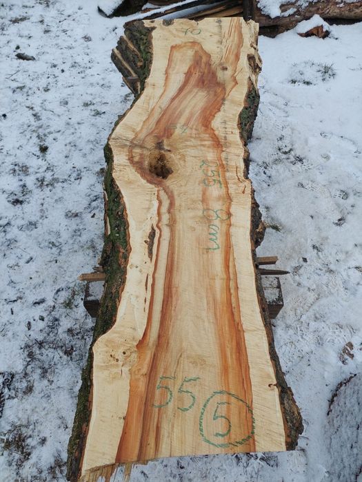 Plastry Dębowe Robinia i Wiele innych