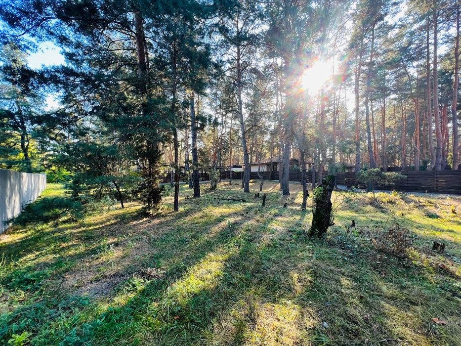 Продам участок в сосновом лесу в Обуховке закрытая территория лес река