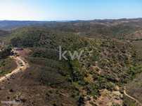 Terreno Rustico com 51500m2 em Umbria do Monte - Salir