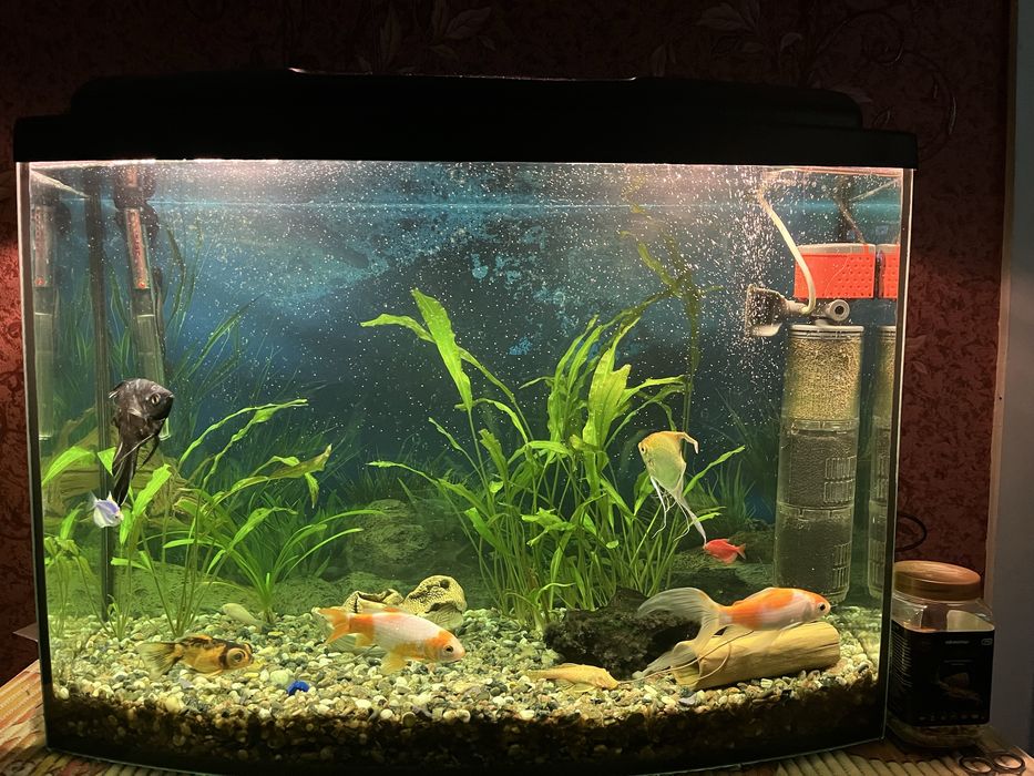 Акваріум робочий 105 літрів