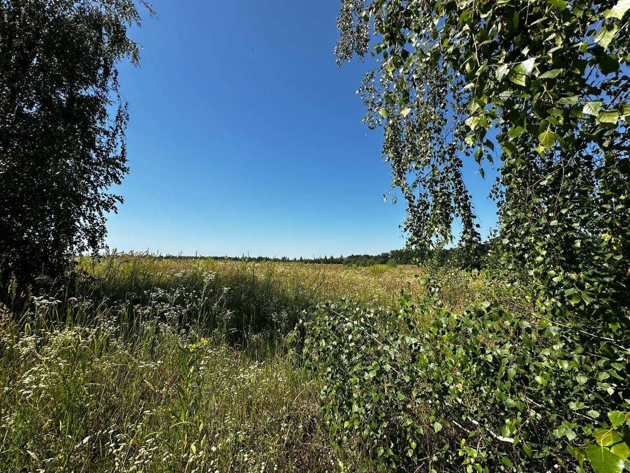 Продаж земельної ділянки 38,59 соток (ОСГ). 50 метрів від траси.ID:678