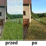 Koszenie trawy, wycinka drzew  - tanio, szybko i solidnie!