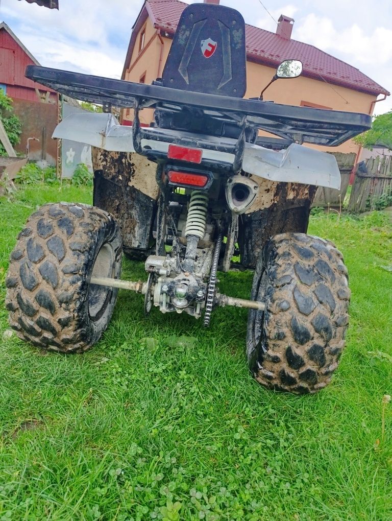 Forte braves 200