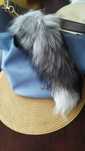 Brelok sztuczny ogon therian tail furry