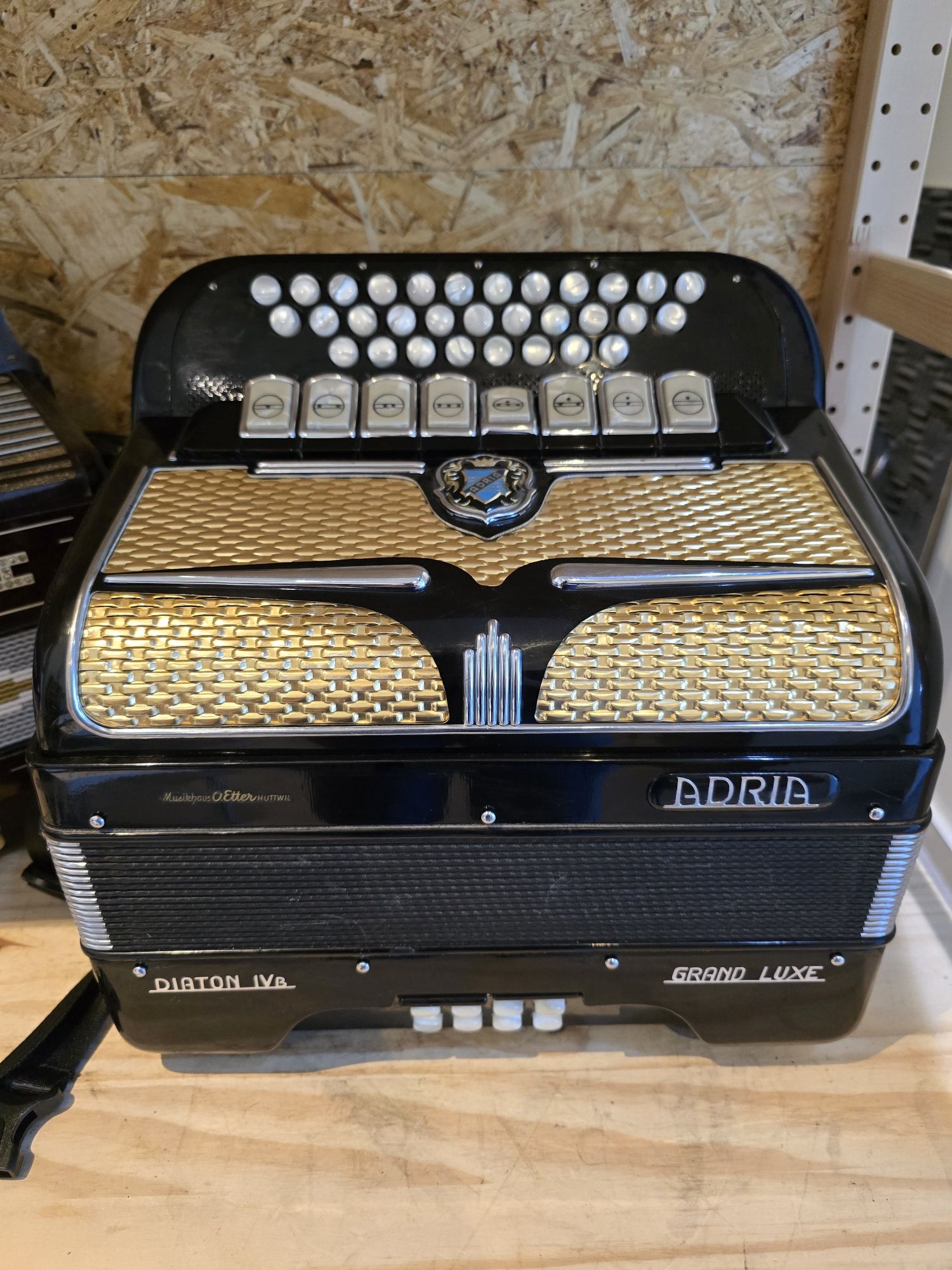 Concertina Adria Diaton IVa