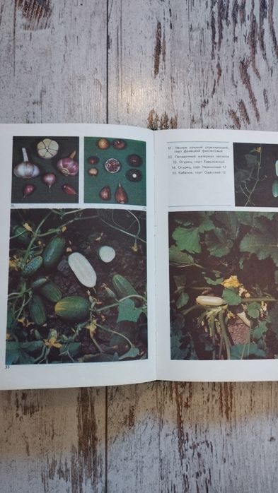 Книга,,800 практических советов огородніку -любителю,,