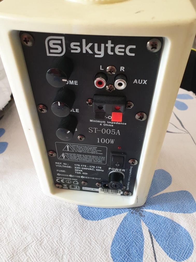 Coluna Skytec 100W