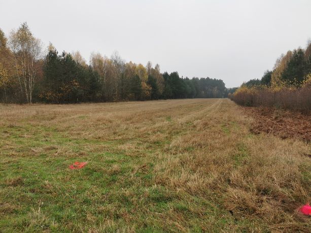 Działka 3000m2,  Janopole, gm. Nowe Miasto, pow. Płońsk