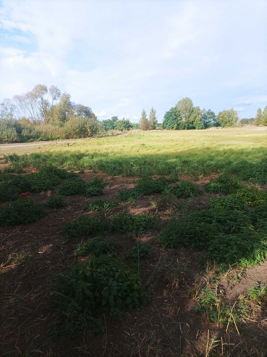 Zimowanie łodzi jachtów parking