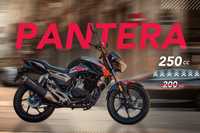 GEON PANTERA 250, 2024 р. в.