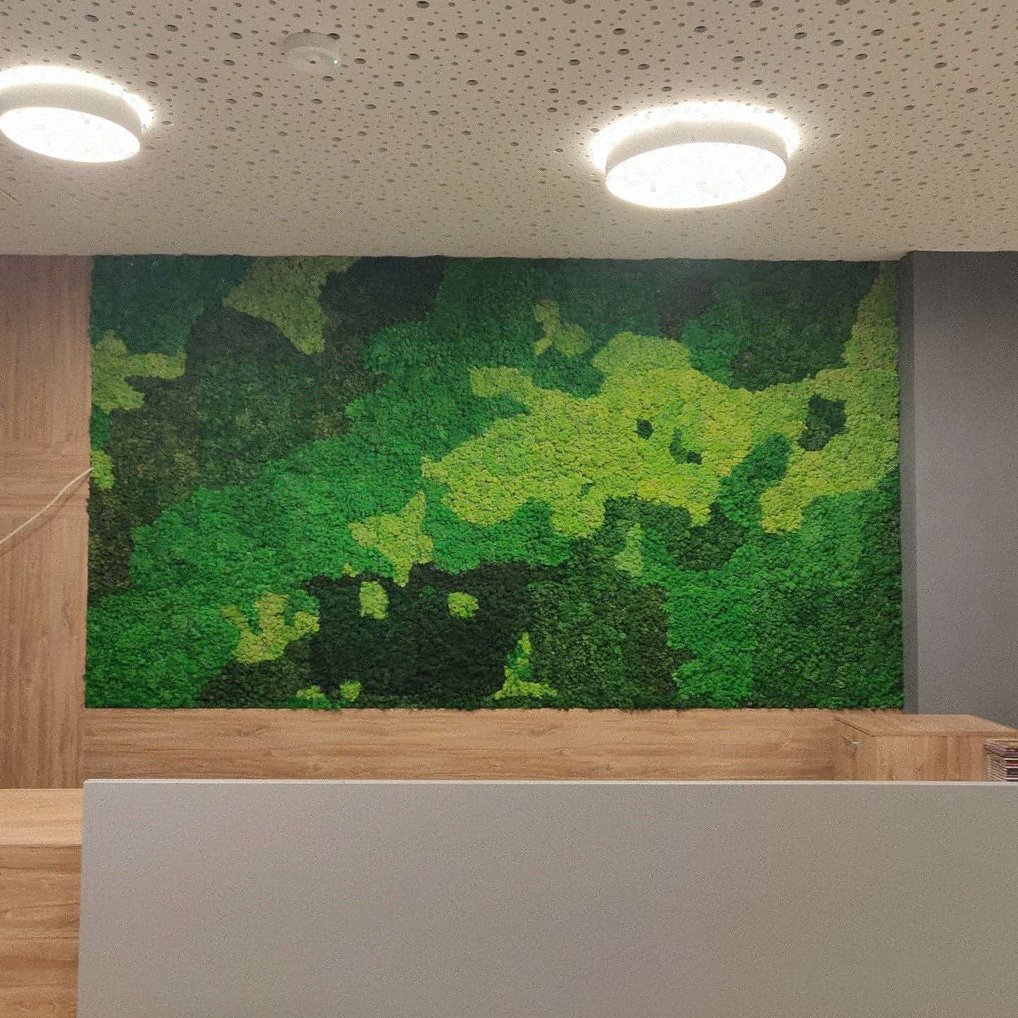 Panel ścienny mech chrobotek NA WYMIAR