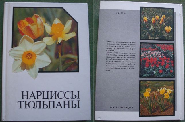Книга альбом Нарциссы Тюльпаны Цветоводство.